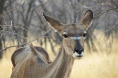 Namibia