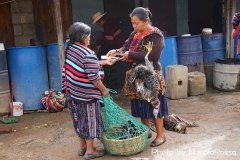 DSC00101