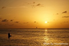 DSC00880