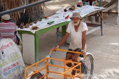 DSC00976