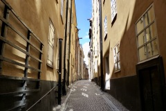 P1020807